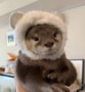 tomokaのアバター