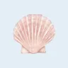 Imagen de perfil de natalie 🐚