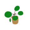 Imagen de perfil de Grassdener