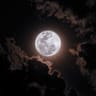Imagen de perfil de M. Anamaria | moonwriter
