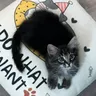NYCLifewithNyx님의 프로필 사진