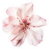 Imagen de perfil de NotesFromEvie